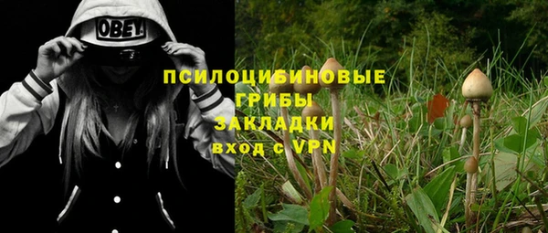 мдпв Арсеньев